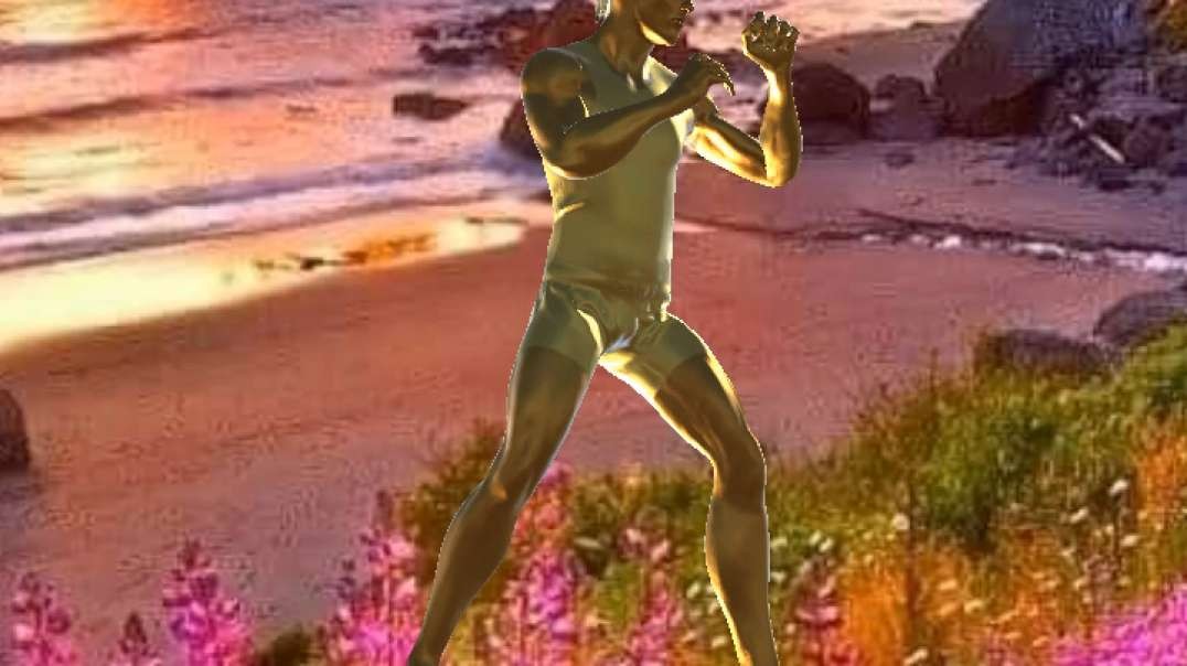 TREINOS